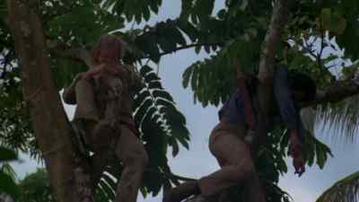 It's like being a monkey, you know what I mean? - Gold of the Amazon Women