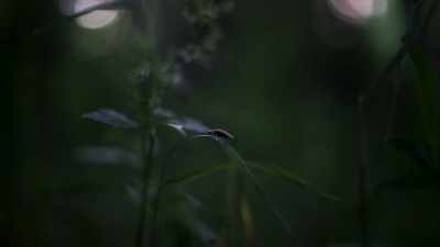 It's like hacking a friend's
romantic message to his - Cosmos: Possible Worlds