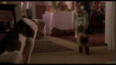 It's like I said all along poopsie - Homeward Bound: The Incredible Journey