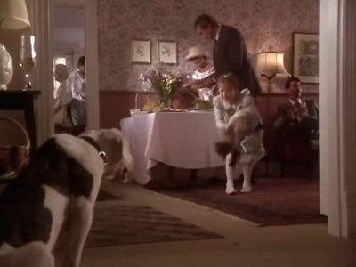 It's like I said all along - Homeward Bound: The Incredible Journey