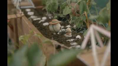 It's like Oh it's like a movie - Marcel the Shell with Shoes On