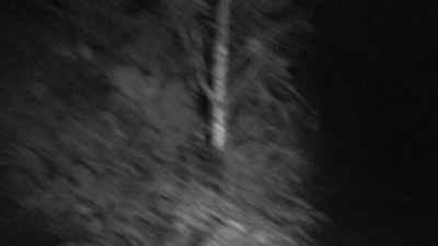 It's like that's...
that's straight up. - Expedition Bigfoot