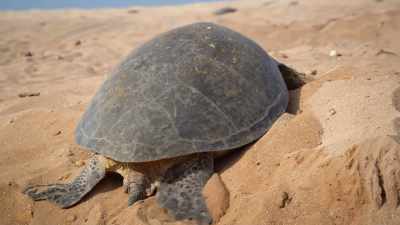 It's like there's almost a...
like a baseball bat - Welcome to Earth