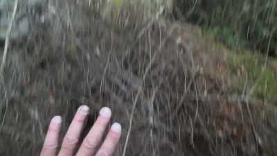 It's literally - Expedition Bigfoot