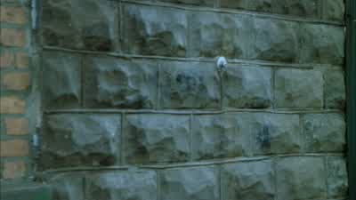It's me. - Prison Break