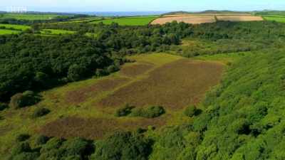 It's mid-September. - Wales: Land of the Wild