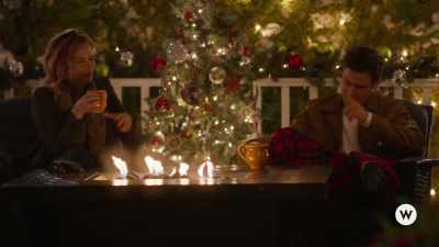 It's never a successful day
unless I get one snort laugh. - An Unexpected Christmas