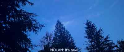It's new. - Never Let Go