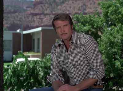 It's nice to feel wanted. - The Six Million Dollar Man