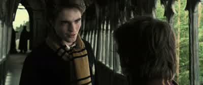 It's not a bad place for a bath. - Harry Potter and the Goblet of Fire