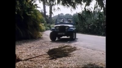 -It's not a bad way to see
Martinique is it?
-No. - The Love Boat