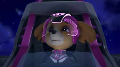 It's not a real eagle.
It's just a jet. - PAW Patrol: Jet To The Rescue