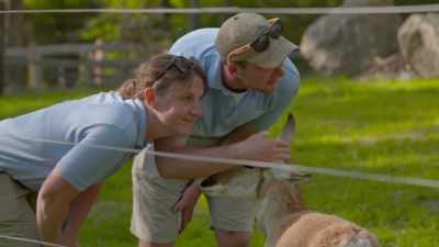 It's not causing him any pain, - Secrets of the Zoo