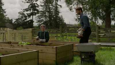 It's not common to see - Amish Affair