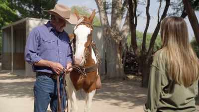 It's not easy to keep a
working ranch alive these days. - A Cowboy Christmas Romance