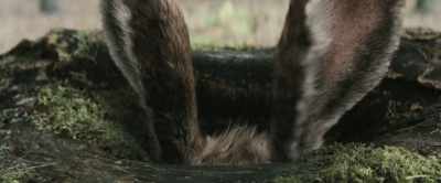It's not entirely clear. - Christopher Robin