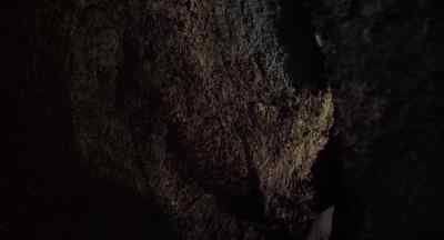 It's not far now, David. - At the Earth's Core