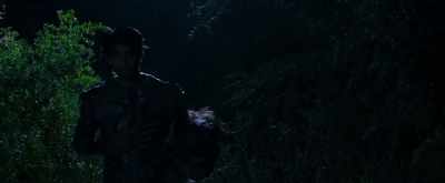 It's not my fault.
They made me do it. - Reed's Point