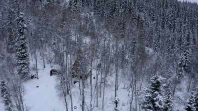 It's not gonna get
hung up on other trees. - Life Below Zero: Next Generation