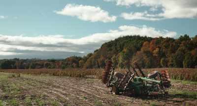 It's not healthy for the productthat's produced - The Pollinators