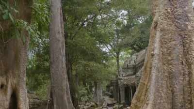 It's not hidden.
It's not camouflage. - Mysteries of the Abandoned