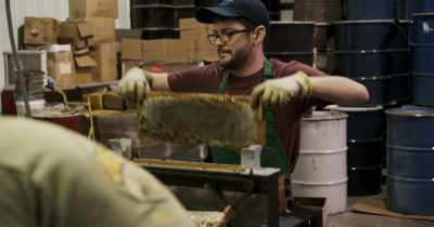 It's not just the bees. - Rotten