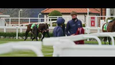 It's not just the racing public, - Horsepower