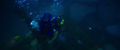 It's not moving. - 47 Meters Down