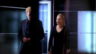It's not trilobal. - CSI: Miami