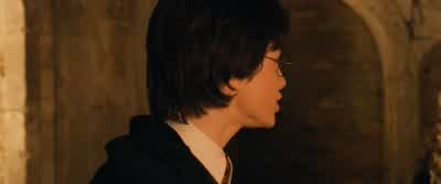 It's not true, sir. - Harry Potter and the Chamber of Secrets