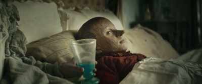 - It's not true.
- Yes. Pinocchio. your illness is serious. - Pinocchio