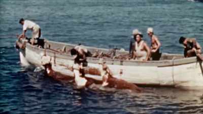 It's not used to
cultural convulsions. - The Pacific War in Color