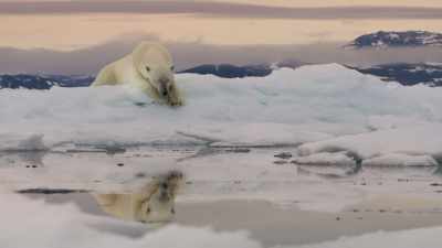 It's now up to us
to make that happen. - Frozen Planet II
