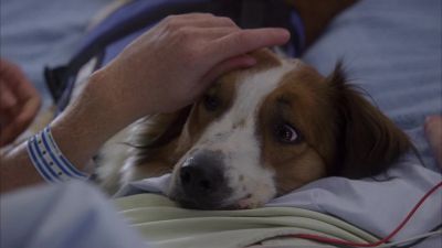It's okay. Don't worry. - House
