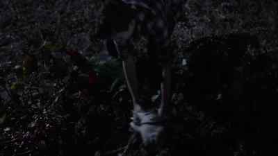 - It's okay, it's
okay. Calm down. - Creepshow