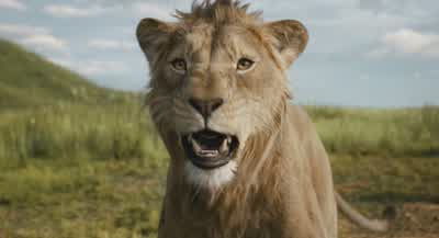 It's okay, Mufasa. - Mufasa: The Lion King