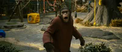 It's okay. - Rise of the Planet of the Apes