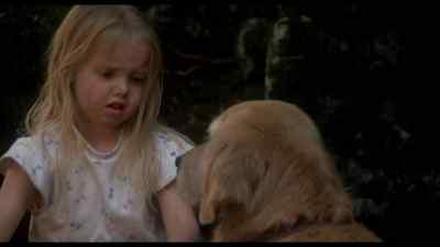 It's okay. - Homeward Bound: The Incredible Journey