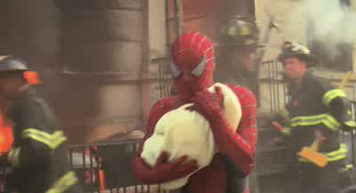 - It's okay. - Spider Man