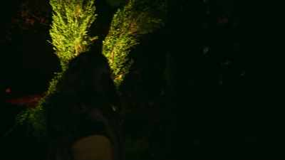 It's okay. The neighbors, - What We Do in the Shadows