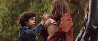 - It's only a few weeks, Moses. - 9 Bullets