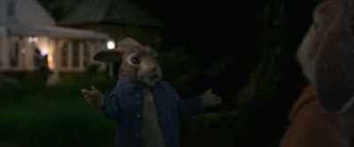 It's only about the garden, - Peter Rabbit