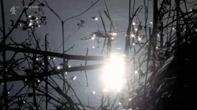 - It's only been a few
days since I spoke to Phil - Escape to the Chateau: Make Do & Mend