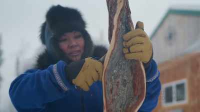It's only like zero, so it's
a good day to work on this - Life Below Zero: First Alaskans