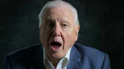 It's only now that I appreciate
how extraordinary. - David Attenborough: A Life on Our Planet