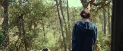 - It's only temporary.
- (remarks) - The Animal Kingdom