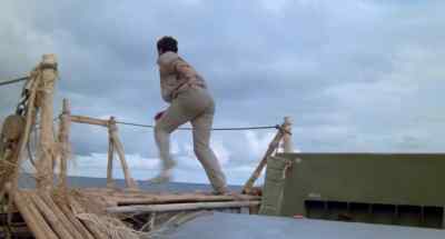 It's over! - The Last Flight of Noah's Ark