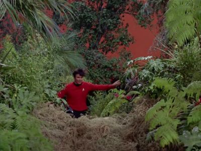 It's over there, that way!
I never saw anything like it. - Star Trek