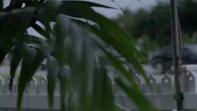 It's Pamela Ortiz. - Bloodline