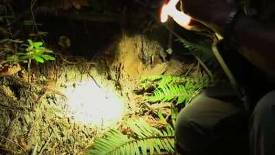 It's partial.
So I won't be able to tell
the whole length. - Expedition Bigfoot